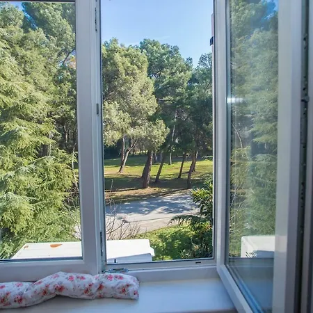 Appartement In Istrien 36774 Poreč